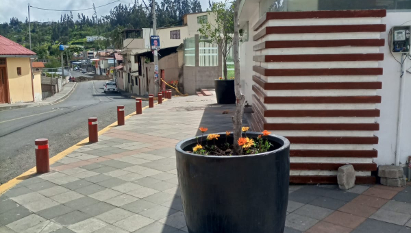 ORNATO DEL CENTRO PARROQUIAL DE PICAIHUA